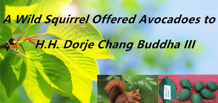 H.H.Dorje Chang Buddha III