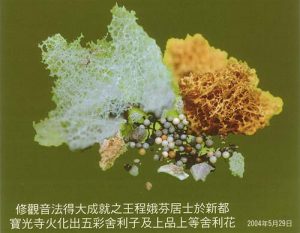 Shariras Wang Cheng E-Fen